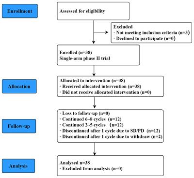 Pemetrexed Plus Lenalidomide for Relapsed/Refractory Primary Central Nervous System Lymphoma: A Prospective Single-Arm Phase II Study